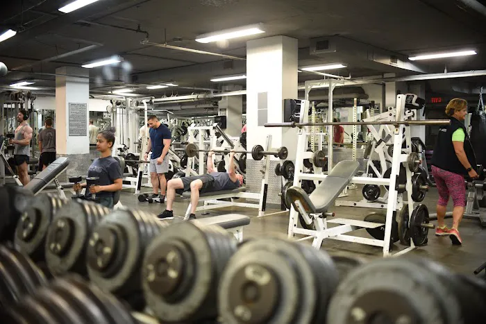 Synergy Fitness Clubs Picture 1