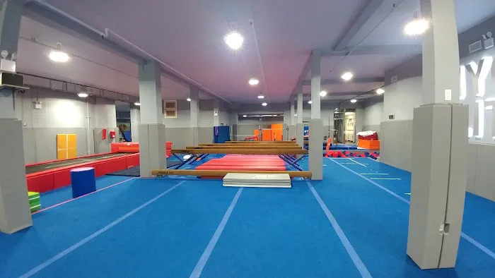NYC Elite Gymnastics Picture 5