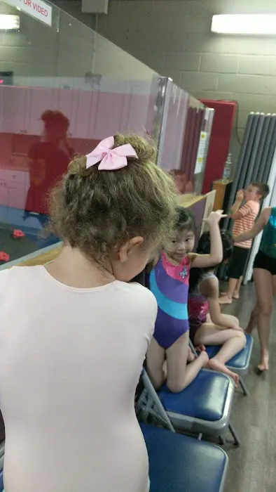 NYC Elite Gymnastics Picture 8