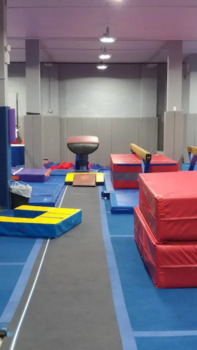 NYC Elite Gymnastics Picture 3