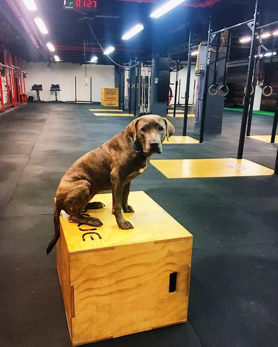BK Fit Studios - Clinton Hill Picture 4