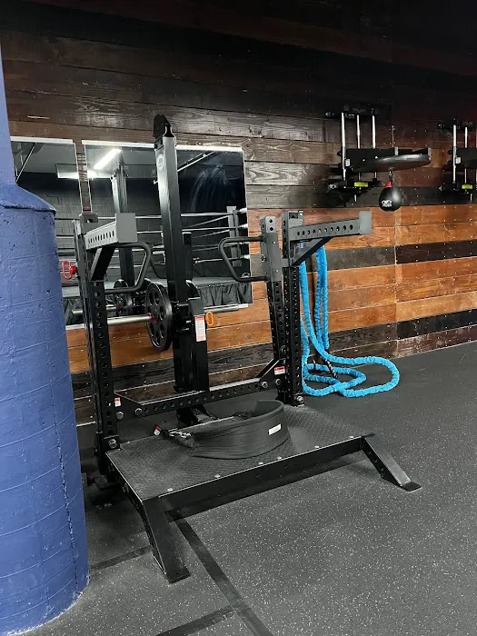 RS Strength Picture 6