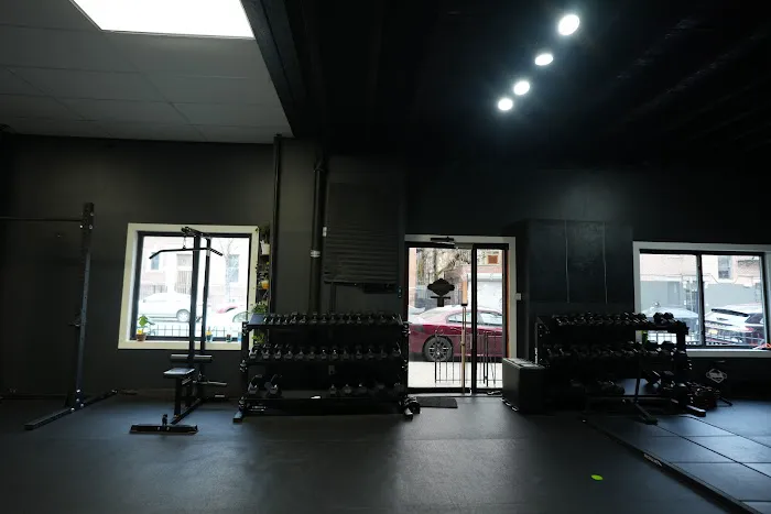 FUERZA TRAINING SYSTEMS Picture 2