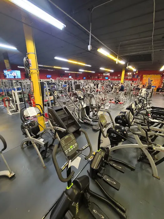 Coliseum Gym 2.0 Picture 10
