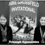 Triumph Gymnastics