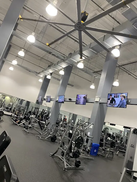 FitNation Health Club Picture 3