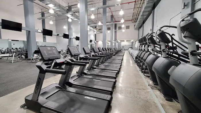 FitNation Health Club Picture 2