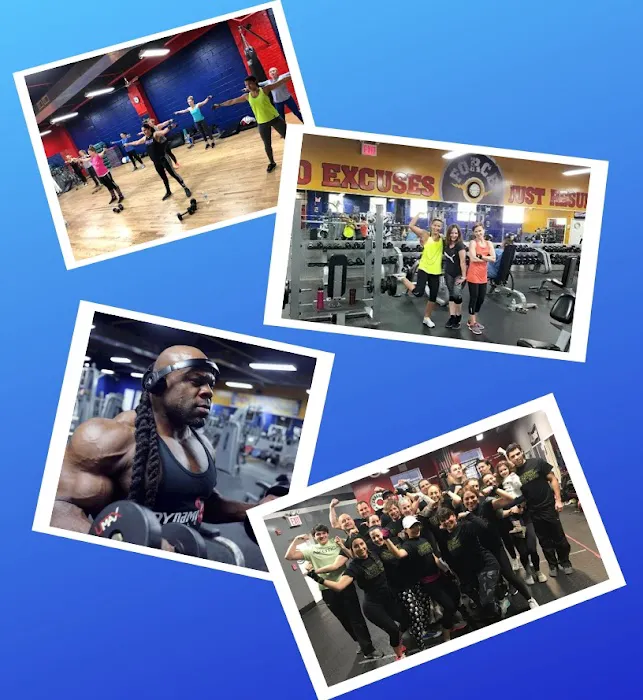 Force Fitness Club Picture 5
