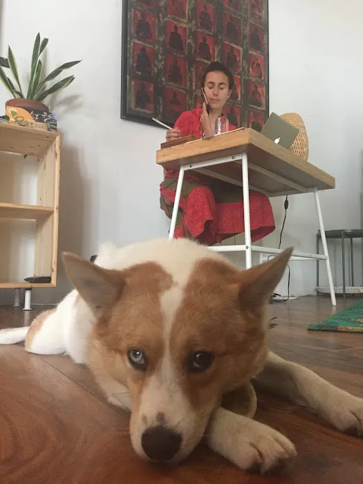 Daya Yoga Studio Picture 5