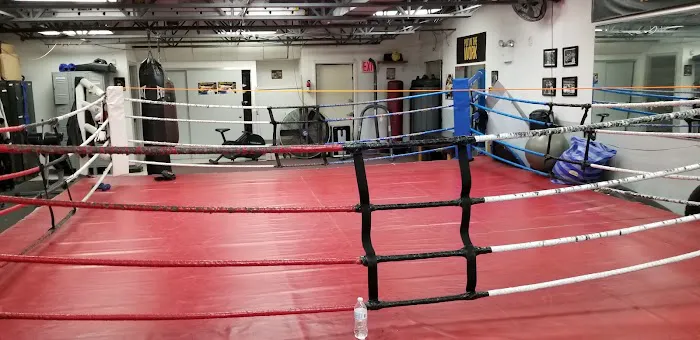 Brotherhood Boxing Picture 7