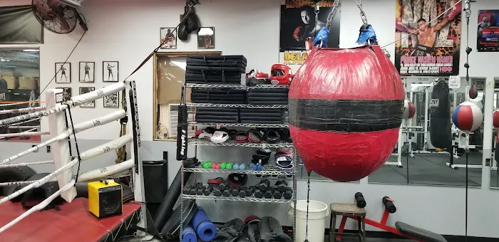 Brotherhood Boxing Picture 4