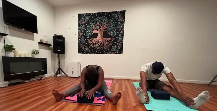 Shining Star Yoga and Wellness Inc. Picture 1