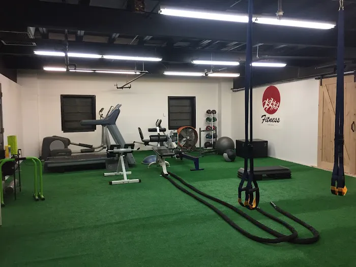 Dynamic Fit World Picture 8