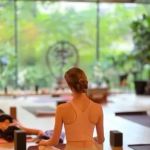 Abhaya Yoga Dumbo