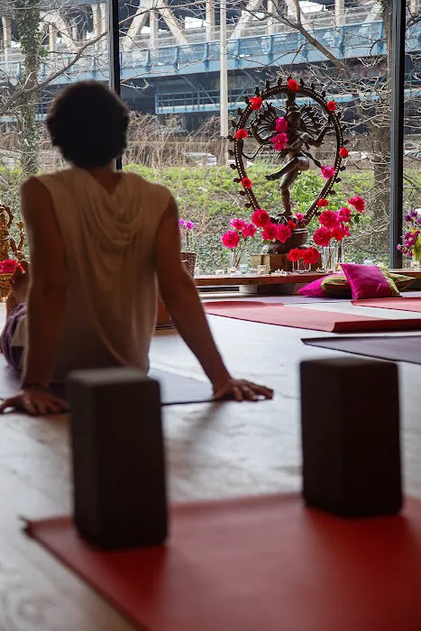 Abhaya Yoga Dumbo Picture 9