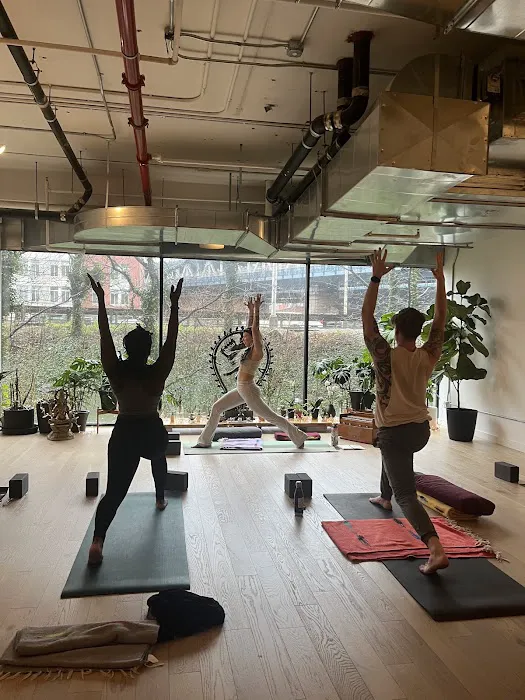 Abhaya Yoga Dumbo Picture 8