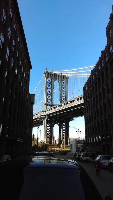 Equinox Dumbo Picture 5