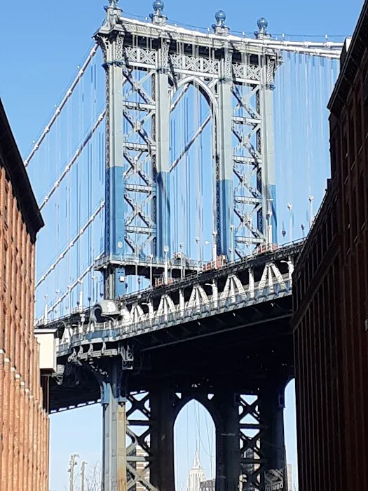 Equinox Dumbo Picture 6