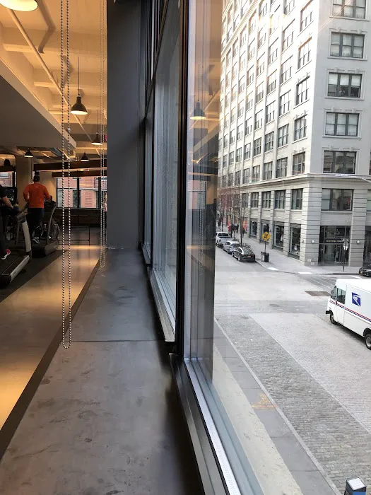 Equinox Dumbo Picture 7