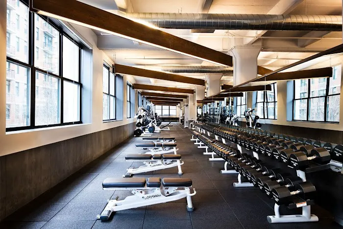 Equinox Dumbo Picture 3