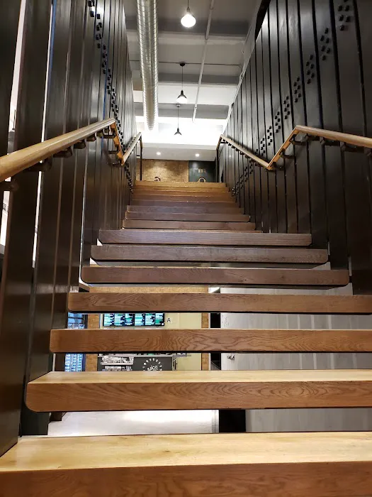 Equinox Dumbo Picture 8