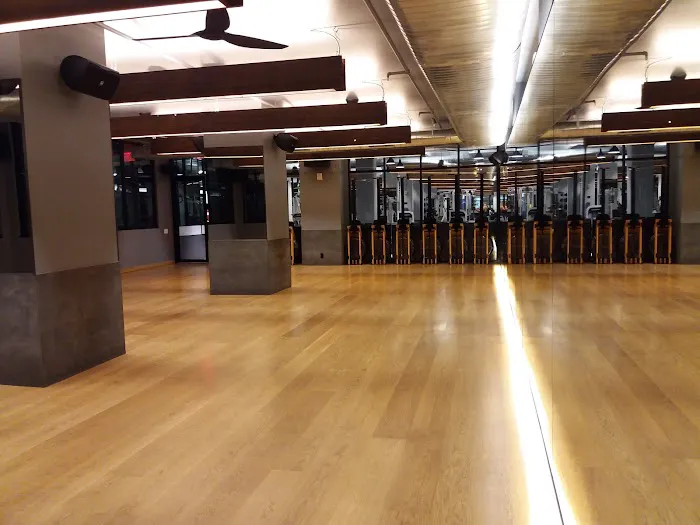 Equinox Dumbo Picture 10