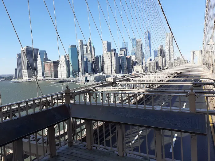 Equinox Dumbo Picture 9