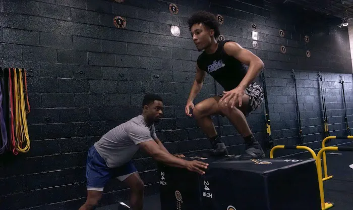 E12 Performance Fitness Picture 5