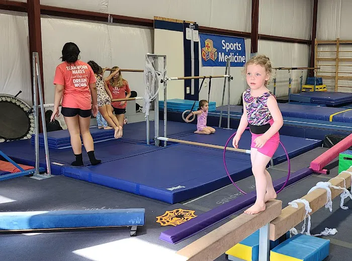 Dreams Gymnastics Center Picture 2