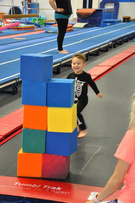 Dreams Gymnastics Center Picture 4