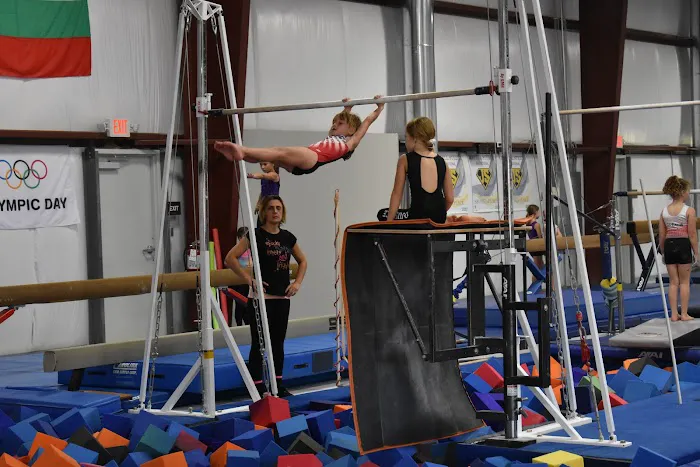 Dreams Gymnastics Center Picture 6