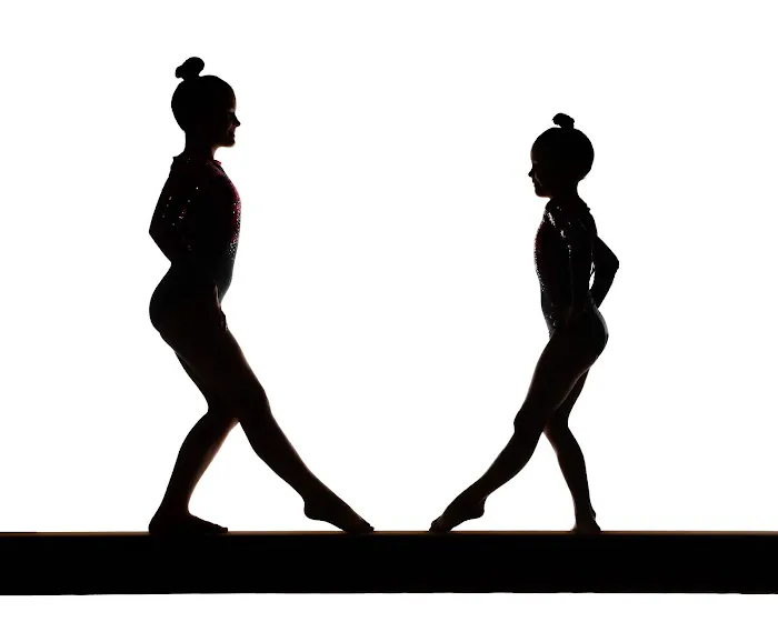 Dreams Gymnastics Center Picture 5