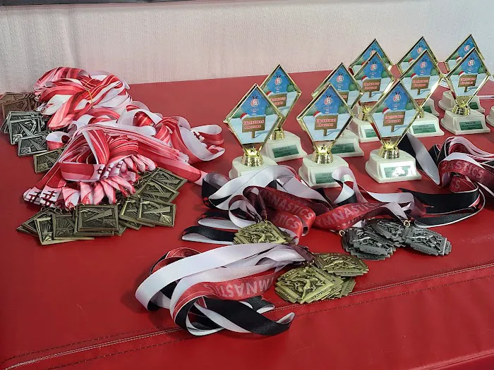 Dreams Gymnastics Center Picture 8