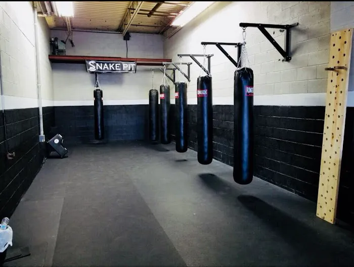 Combat Athlete Performance Academy Picture 3