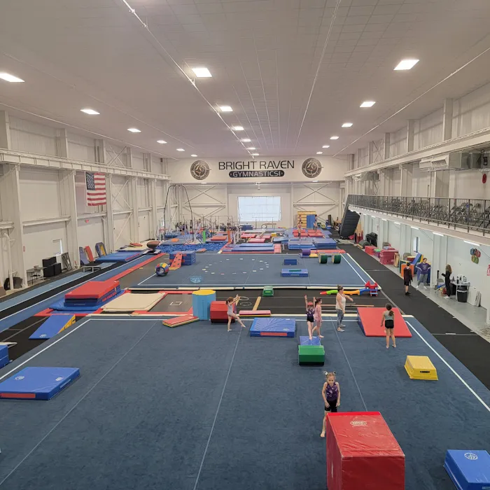 Bright Raven Gymnastics East Picture 2