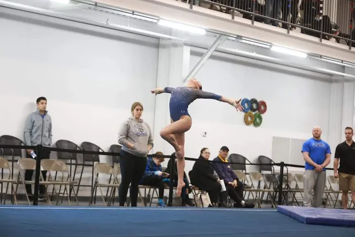 Bright Raven Gymnastics East Picture 4