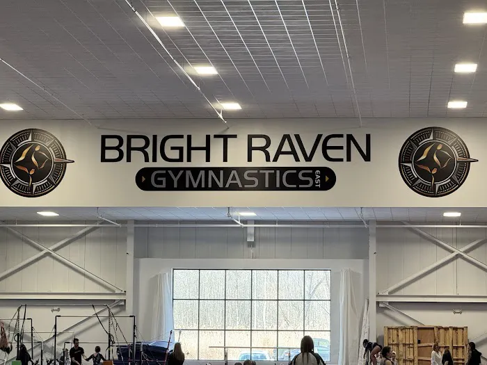 Bright Raven Gymnastics East Picture 1