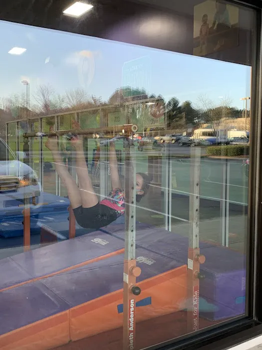 Bright Raven Gymnastics East Picture 7