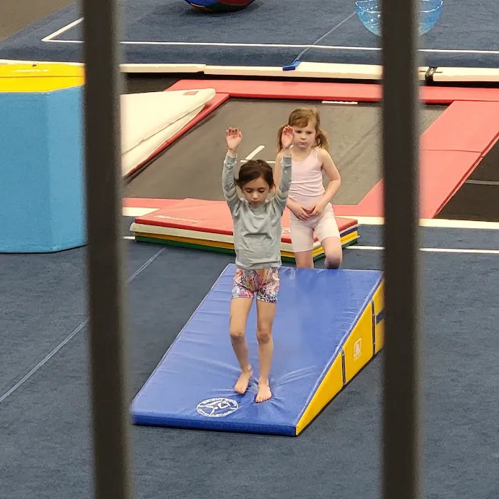 Bright Raven Gymnastics East Picture 9