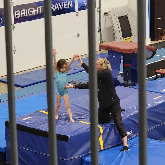 Bright Raven Gymnastics East Picture 10