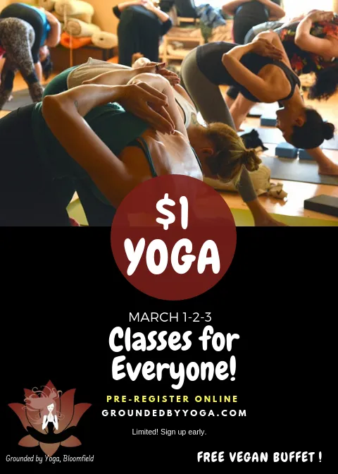 Grounded By Yoga Studios & Yoga Teacher Training LLC Picture 7