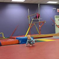 The Little Gym ico