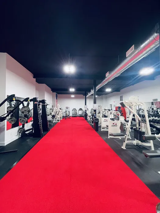 Vital Strength Gym & Studio Picture 3