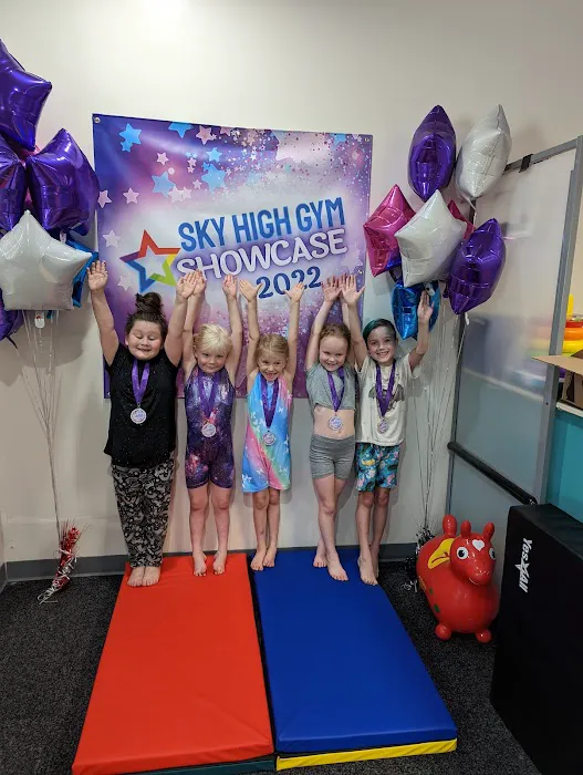 Sky High Gymnastics Picture 4