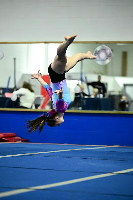 Sky High Gymnastics Picture 5