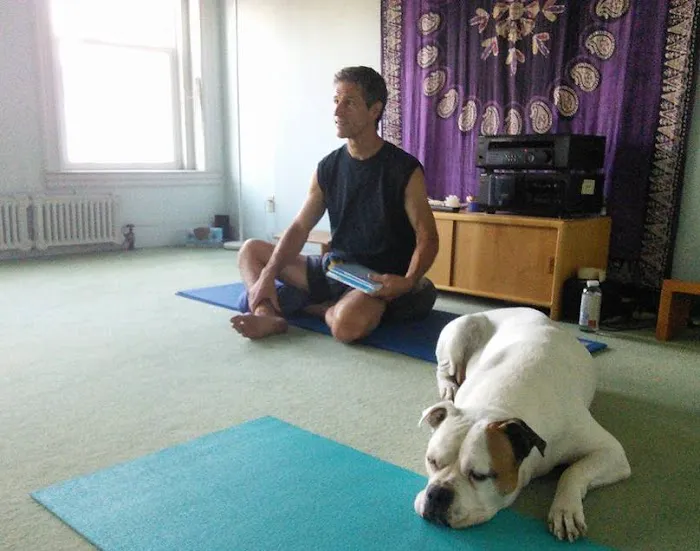 The Yoga Center Picture 6