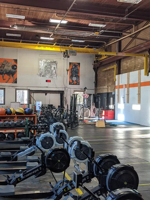 White Mountain CrossFit Picture 5