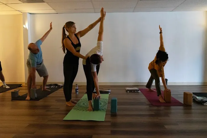 Sol Seed Yoga Picture 5