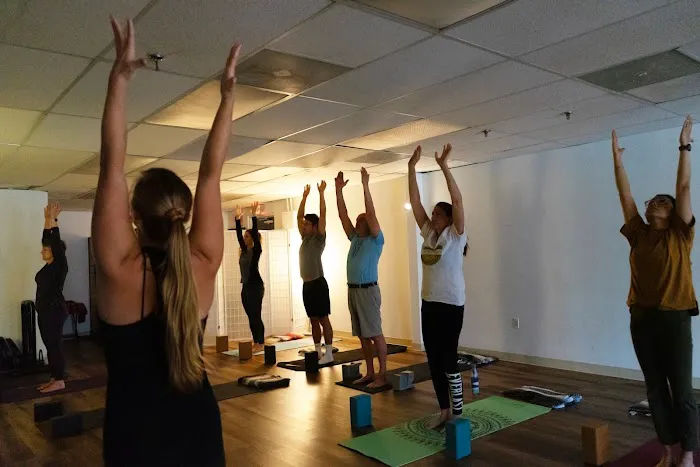 Sol Seed Yoga Picture 2