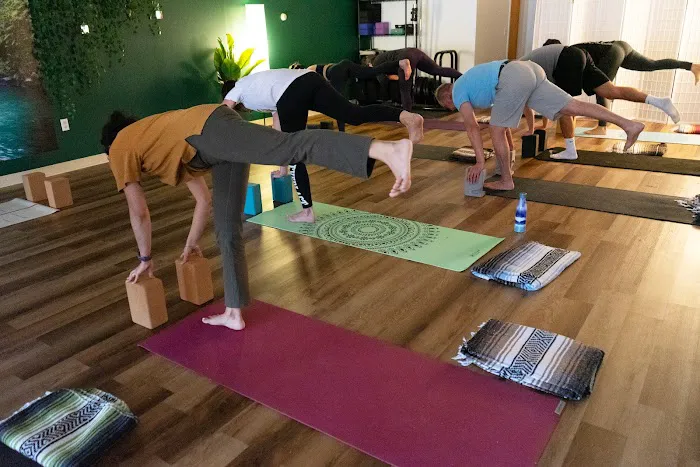 Sol Seed Yoga Picture 7